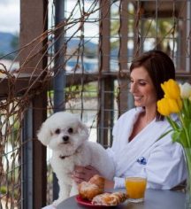 Accommodations:
Napa River Inn
in Napa