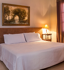 Accommodations:
Casa Madonna La Providence
in Guadalajara