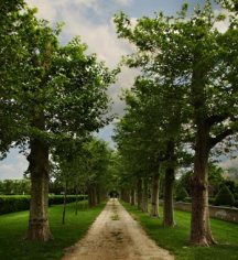 Activities:
OHEKA CASTLE
in Huntington