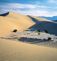 Event Calendar:
The Inn at Furnace Creek
in Death Valley