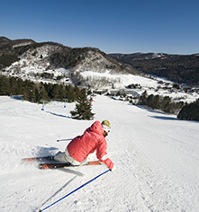 Activities:
Woodstock Inn & Resort
in Woodstock