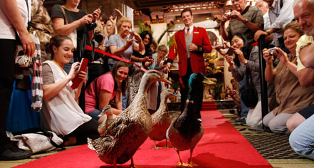 Activities:
The Peabody Memphis
in Memphis