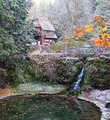 Activities:
The Chateau at Oregon Caves
in Cave Junction
