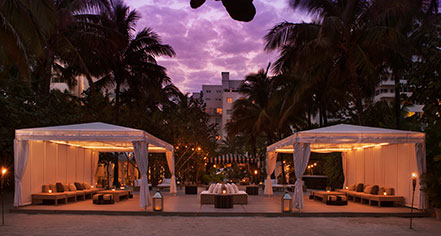 Local Attractions:
The Raleigh Miami Beach
in Miami Beach