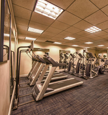 Activities:
The Jefferson Hotel
in Richmond