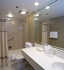 Accommodations:
The Crockett Hotel
in San Antonio