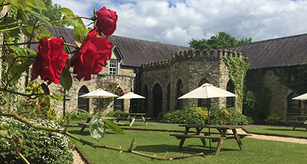 Activities:
Kinnitty Castle Hotel
in Birr