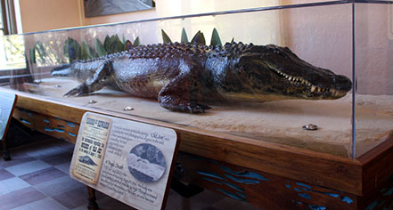 Event Calendar:
The Lodge at Wakulla Springs
in Wakulla Springs
