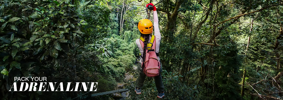 Learn More About Active Vacations