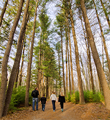 Activities:
Skytop Lodge
in Skytop