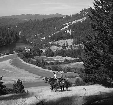 Historical Image of The Surrounding Land with Horses, Benbow Inn, 1926, Member of Historic Hotels of America, in Garberville, California