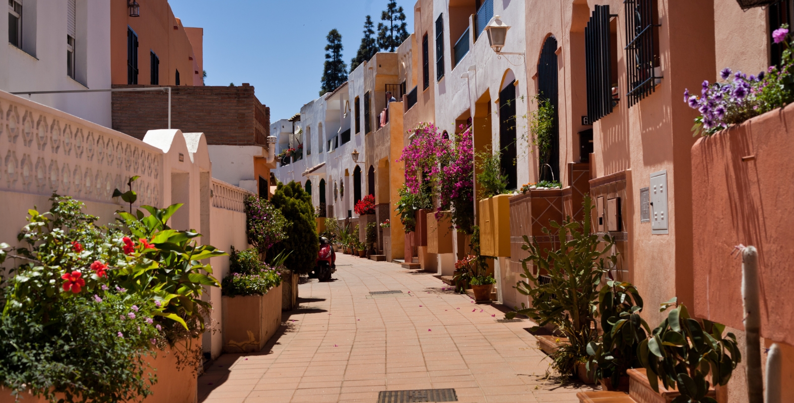 Explore Marbella Old Town, with itscharming cobblestone streets lined with whitewashed buildings and vibrant-colored villas.