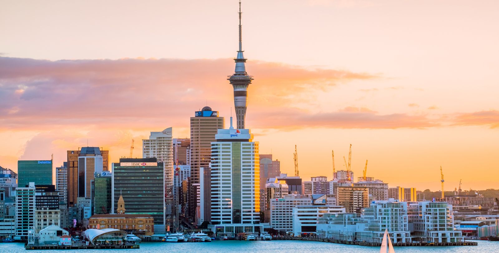 Immerse yourself in bustling and multicultural areas of Auckland.