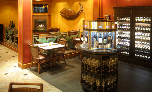Hotel Captain Cook
- Activities