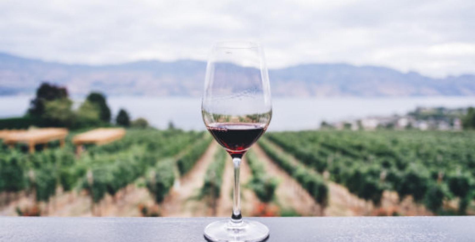 Explore Napa's wine country on the historic Napa Valley Wine Train.