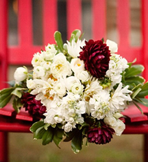 Weddings:
Mast Farm Inn
in Banner Elk