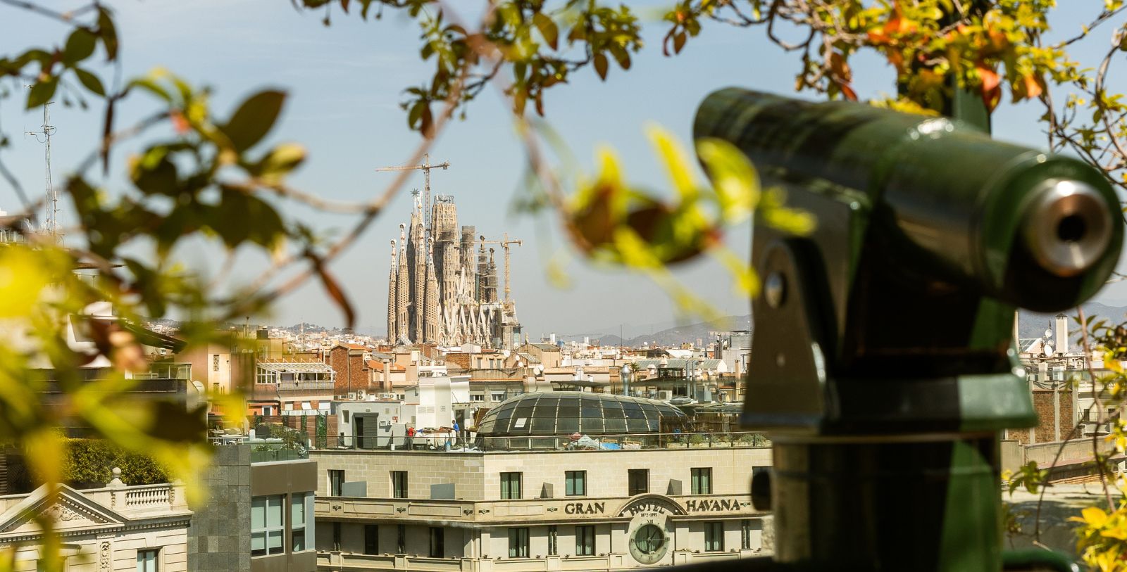 Explore the Sagrada Família, one of Barcelona’s most famous landmarks.