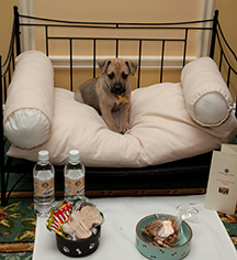 Activities:
The Hermitage Hotel
in Nashville