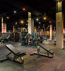 Activities:
Boston Park Plaza
in Boston
