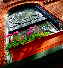 Activities:
Hotel Brexton
in Baltimore