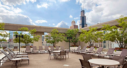 Local Attractions:
Hilton Chicago
in Chicago
