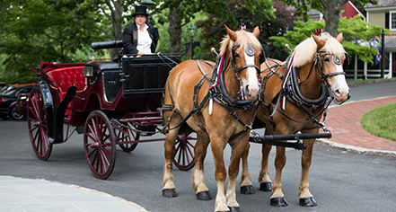 Event Calendar:
Boar's Head Resort
in Charlottesville