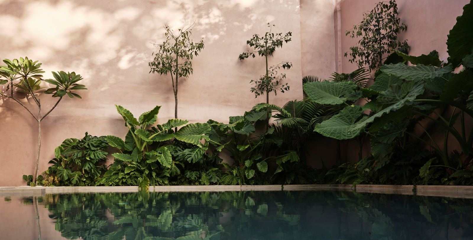 Image of Hotel Pool of Domus Blanc, 1870, a Member of Historic Hotels Worldwide in Chania, Greece.