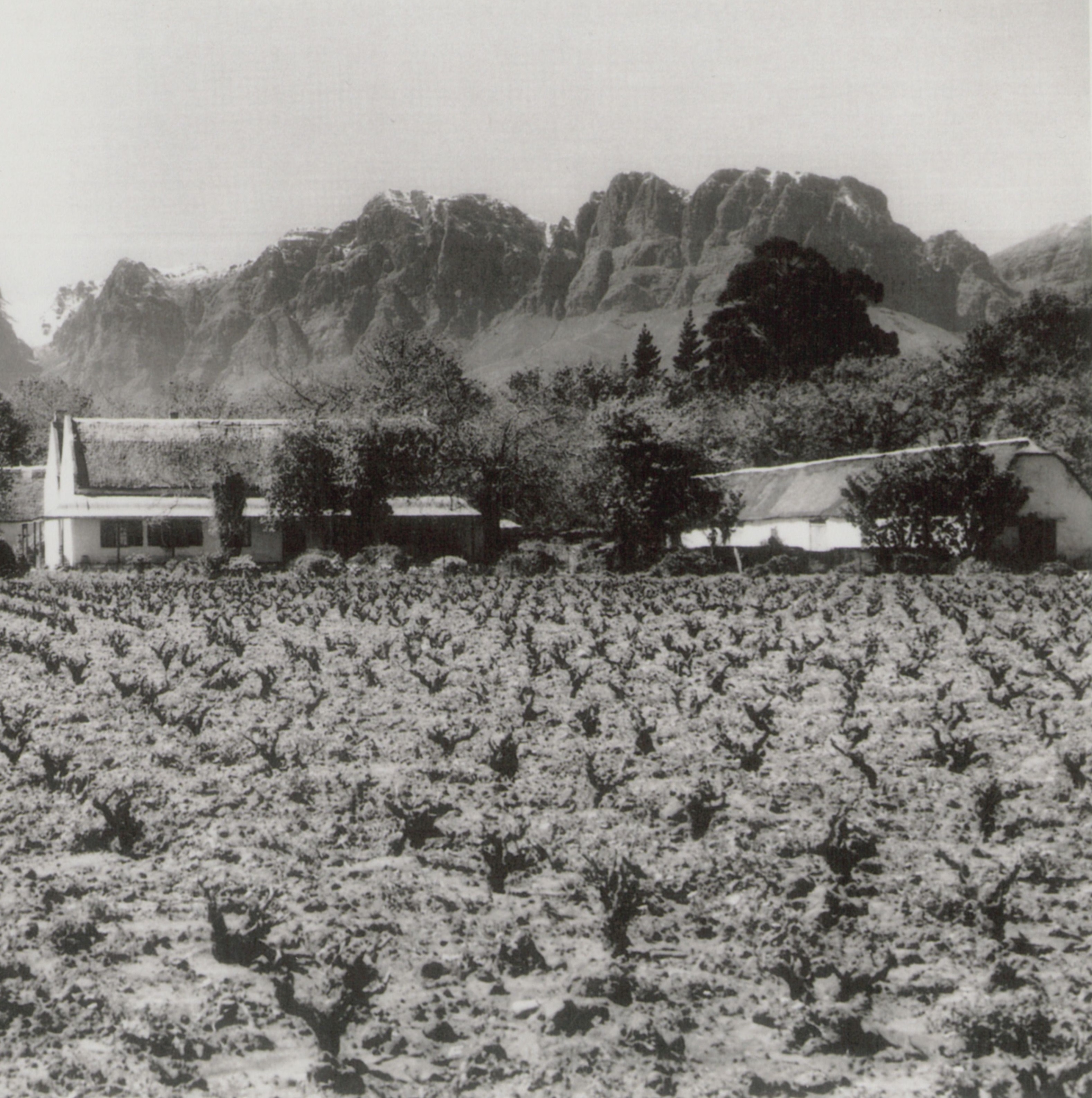 Historical Image of Exterior and Vineyard, Erinvale Estate Hotel & Spa, 1660s, Member of Historic Hotels Worldwide, in Cape Town, South Africa.