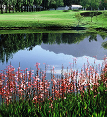 Local Attractions:
Erinvale Estate Hotel & Spa
in Somerset West