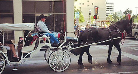 Event Calendar:
The Ashton Hotel
in Fort Worth