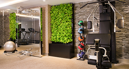 Activities:
Sofitel Washington DC Lafayette Square
in Washington