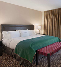 DoubleTree Suites by Hilton Hotel Detroit Downtown - Fort Shelby
in Detroit
