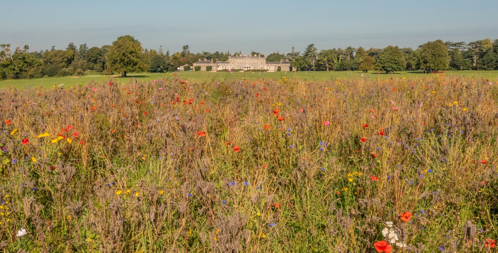 Image of Garden at Carton House, a Fairmont Managed Hotel, 1739, A Member of Historic Hotels Worldwide, Maynooth, Ireland