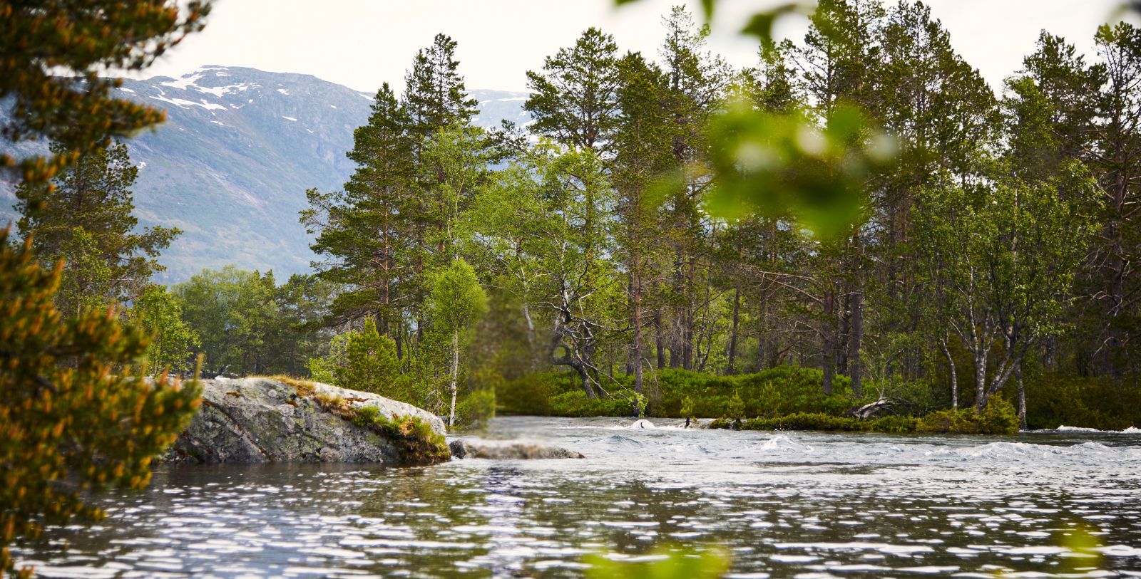 Explore nature at Flatheim, located along the National Scenic Route.