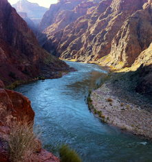 Local Attractions:
Phantom Ranch
in Grand Canyon