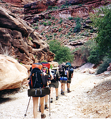 Things To Do In Grand Canyon Arizona Phantom Ranch - 