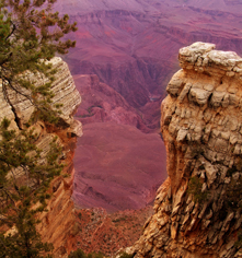 Activities:
El Tovar Hotel
in Grand Canyon