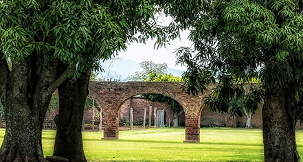 Event Calendar:
Hacienda el Carmen Hotel & Spa
in Ahualulco de Mercado