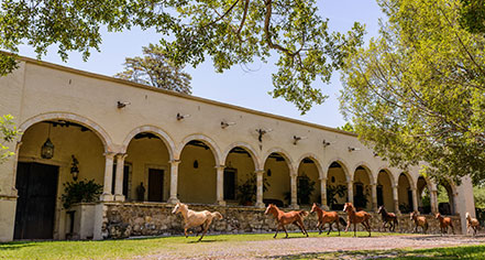 Hacienda Labor de Rivera
in Teuchitlán