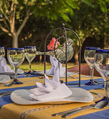 Events at
Hacienda Labor de Rivera
in Teuchitlán