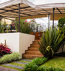 Hotel San Pietro
in Tlaquepaque