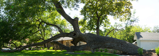 Weddings:
The Stagecoach Inn
in Salado