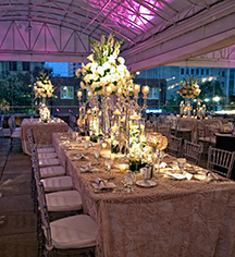 Weddings:
The Sam Houston Hotel
in Houston