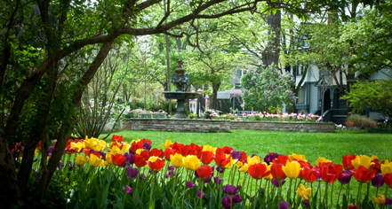 Local Attractions:
1886 Crescent Hotel & Spa
in Eureka Springs