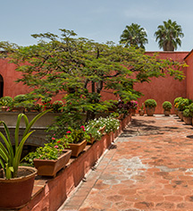 Quinta Real Oaxaca
in Oaxaca