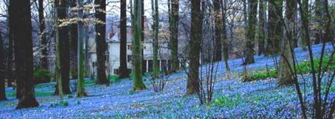 The Inn at Montchanin Village
in Montchanin