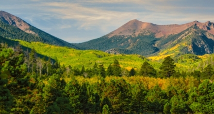 Coconino National Forest