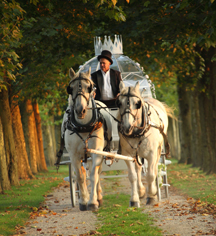 Weddings:
OHEKA CASTLE
in Huntington
