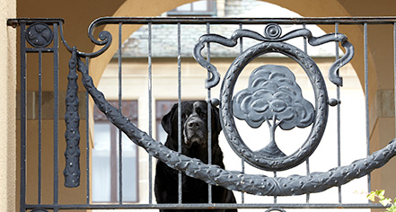 Event Calendar:
OHEKA CASTLE
in Huntington