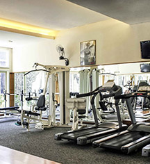 Activities:
The Phoenix Hotel Yogyakarta - MGallery by Sofitel
in Yogyakarta